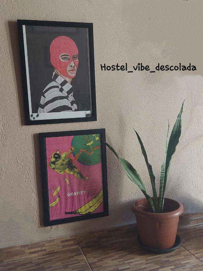 @Hostel_Vibe_Descolada Recife Exterior foto